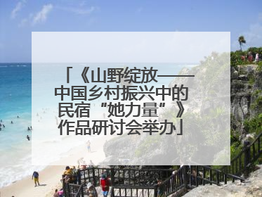 《山野绽放——中国乡村振兴中的民宿“她力量”》作品研讨会举办