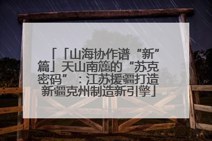 「山海协作谱“新”篇」天山南簏的“苏克密码”：江苏援疆打造新疆克州制造新引擎