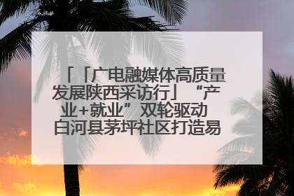 「广电融媒体高质量发展陕西采访行」“产业+就业”双轮驱动 白河县茅坪社区打造易地搬迁后扶新样本