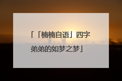 「楠楠自语」四字弟弟的如梦之梦