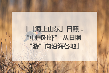 「海上山东」日照：“中国对虾” 从日照“游”向沿海各地