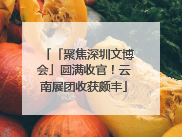 「聚焦深圳文博会」圆满收官！云南展团收获颇丰