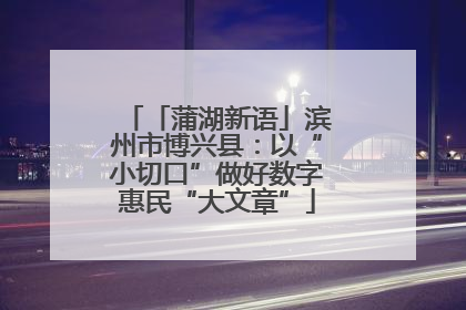 「蒲湖新语」滨州市博兴县：以“小切口”做好数字惠民“大文章”