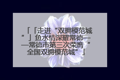 「走进“双拥模范城”」鱼水情深耀常德——常德市第三次荣膺“全国双拥模范城”