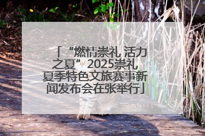 “燃情崇礼 活力之夏”2025崇礼夏季特色文旅赛事新闻发布会在张举行