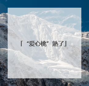 “爱心桃”熟了