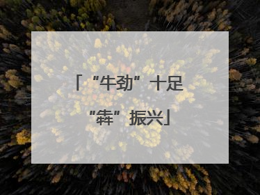 “牛劲”十足“犇”振兴
