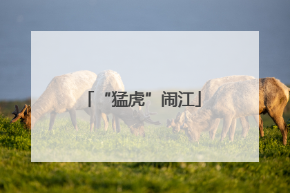 “猛虎”闹江