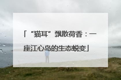 “猫耳”飘散荷香：一座江心岛的生态蜕变