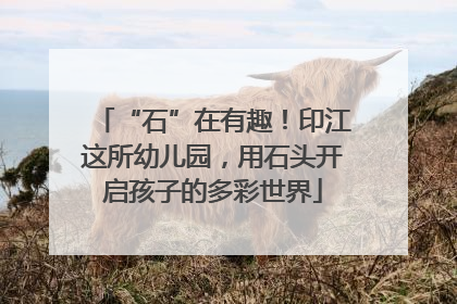 “石”在有趣！印江这所幼儿园，用石头开启孩子的多彩世界
