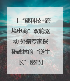 “硬科技+跨境电商”双轮驱动 外籍专家探秘碑林的“逆生长”密码