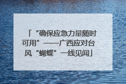 “确保应急力量随时可用”——广西应对台风“蝴蝶”一线见闻