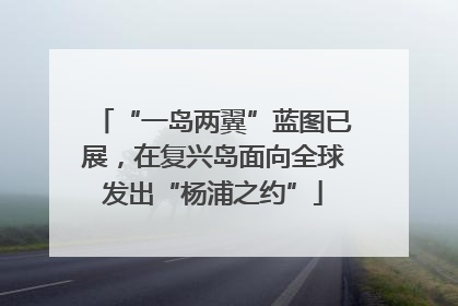 “一岛两翼”蓝图已展，在复兴岛面向全球发出“杨浦之约”