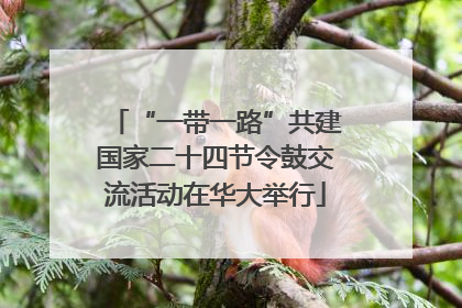 “一带一路”共建国家二十四节令鼓交流活动在华大举行
