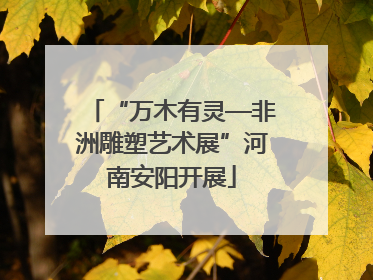 “万木有灵—非洲雕塑艺术展”河南安阳开展