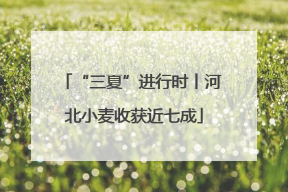 “三夏”进行时丨河北小麦收获近七成