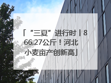 “三夏”进行时丨866.27公斤！河北小麦亩产创新高