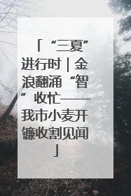“三夏”进行时｜金浪翻涌“智”收忙——我市小麦开镰收割见闻