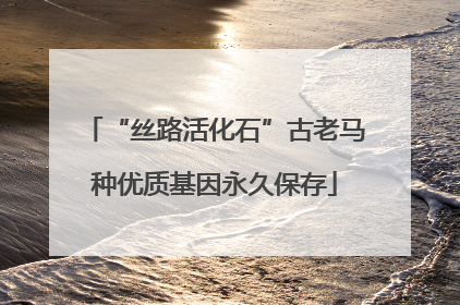 “丝路活化石”古老马种优质基因永久保存