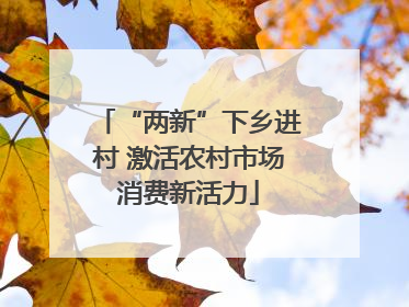 “两新”下乡进村 激活农村市场消费新活力