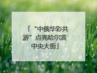 “中俄华彩共游”点亮哈尔滨中央大街