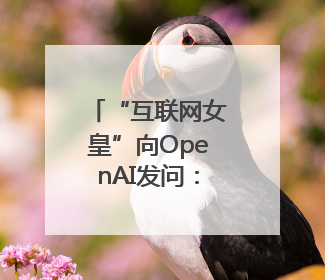 “互联网女皇”向OpenAI发问：你的商业模式经得起价格战考验么？