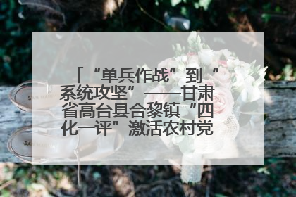 “单兵作战”到“系统攻坚”——甘肃省高台县合黎镇“四化一评”激活农村党员管理新引擎