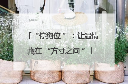 “停狗位 ”：让温情藏在 “方寸之间 ”