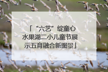 “六艺”绽童心 水果湖二小儿童节展示五育融合新图景