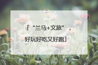 “兰马+文旅”，好玩好吃又好跑