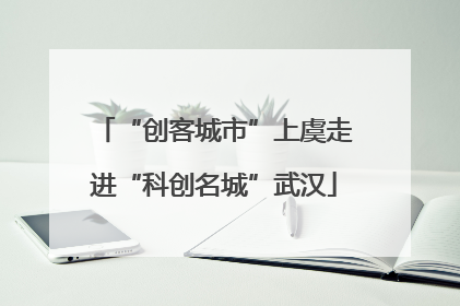 “创客城市”上虞走进“科创名城”武汉