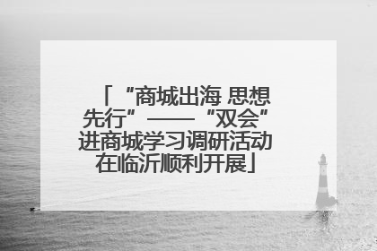 “商城出海 思想先行”——“双会”进商城学习调研活动在临沂顺利开展