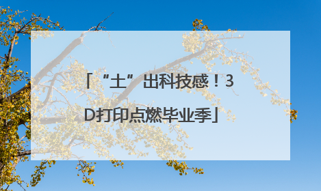 “土”出科技感！3D打印点燃毕业季
