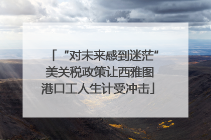 “对未来感到迷茫” 美关税政策让西雅图港口工人生计受冲击