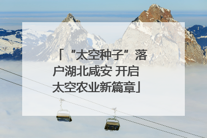 “太空种子”落户湖北咸安 开启太空农业新篇章