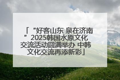 “好客山东 泉在济南”2025韩国水原文化交流活动圆满举办 中韩文化交流再添新彩