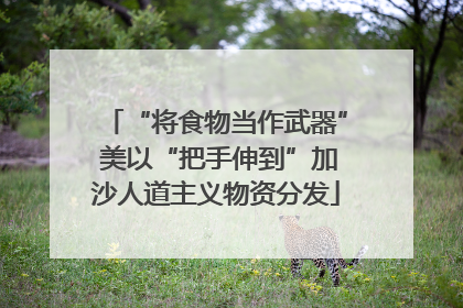 “将食物当作武器” 美以“把手伸到”加沙人道主义物资分发