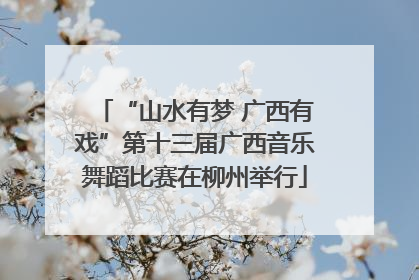 “山水有梦 广西有戏”第十三届广西音乐舞蹈比赛在柳州举行