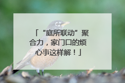 “庭所联动”聚合力，家门口的烦心事这样解！