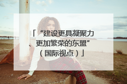 “建设更具凝聚力、更加繁荣的东盟”（国际视点）