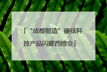 “成都智造”硬核科技产品闪耀西博会