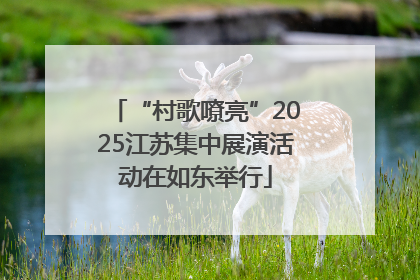 “村歌嘹亮”2025江苏集中展演活动在如东举行