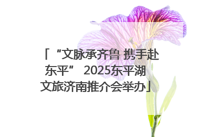 “文脉承齐鲁 携手赴东平” 2025东平湖文旅济南推介会举办