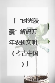 “时光胶囊”解码万年农耕文明（考古中国）