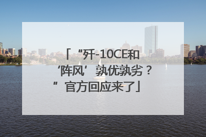 “歼-10CE和‘阵风’孰优孰劣？”官方回应来了