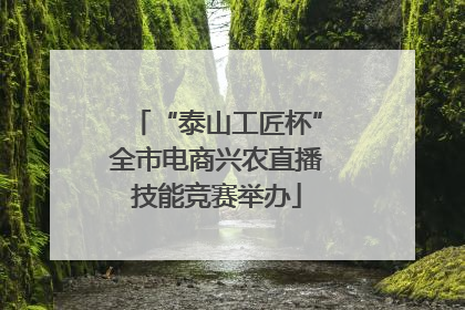 “泰山工匠杯”全市电商兴农直播技能竞赛举办