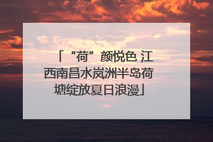 “荷”颜悦色 江西南昌水岚洲半岛荷塘绽放夏日浪漫