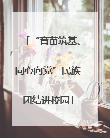 “育苗筑基、同心向党”民族团结进校园