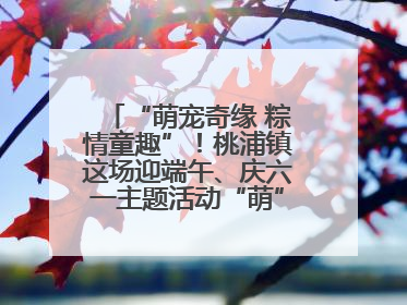 “萌宠奇缘 粽情童趣”！桃浦镇这场迎端午、庆六一主题活动“萌”翻全场～