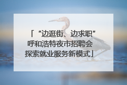 “边逛街、边求职” 呼和浩特夜市招聘会探索就业服务新模式